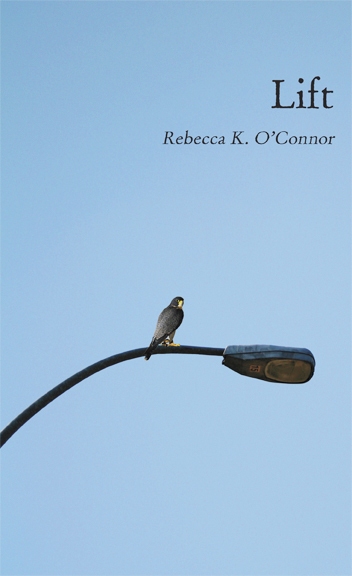 lift book cover